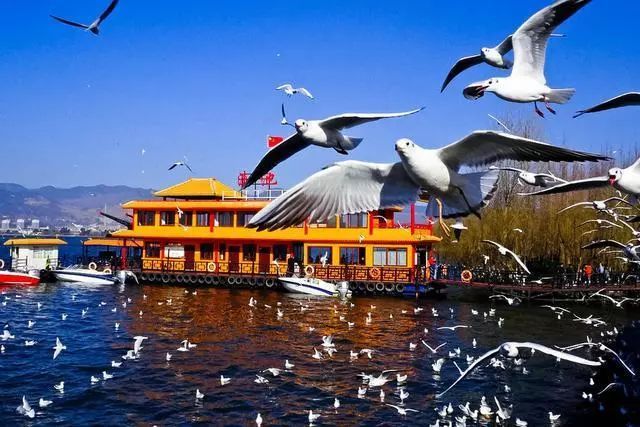 怒江美麗公路開(kāi)通，最美自駕線路出爐，歡迎來(lái)體驗(yàn)