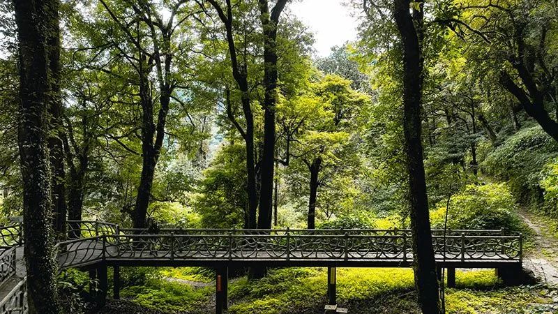 怒江活動策劃：有一種生活叫云南的怒江丨一起去姚家坪，上一堂自然課